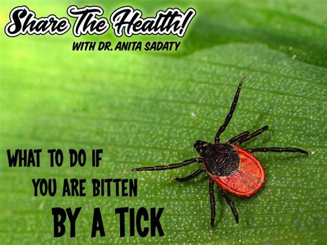 What should you do if you are bitten by a tick?